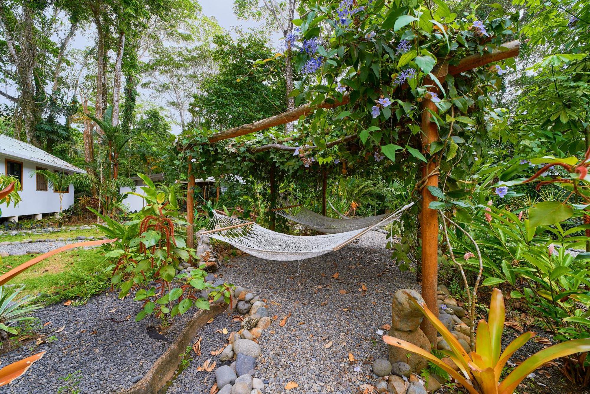 Dragonfly Beachfront Villas-Adult Only Punta Uva Exterior foto